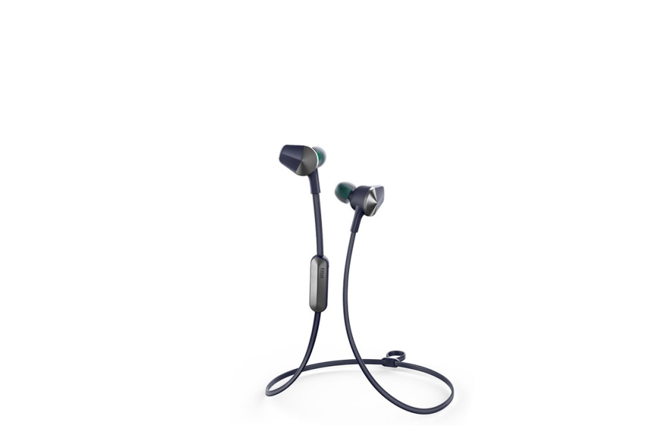 Fitbit Flyer